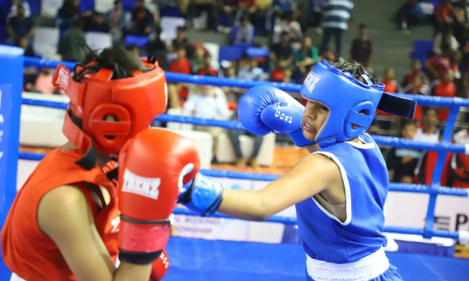 Uttarakhand, Delhi boxers dazzle in pre-quarters