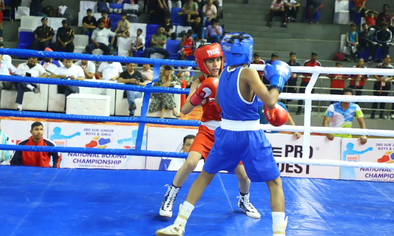 Haryana boxers confirm 19 medals at 3rd Sub Junior National Championship