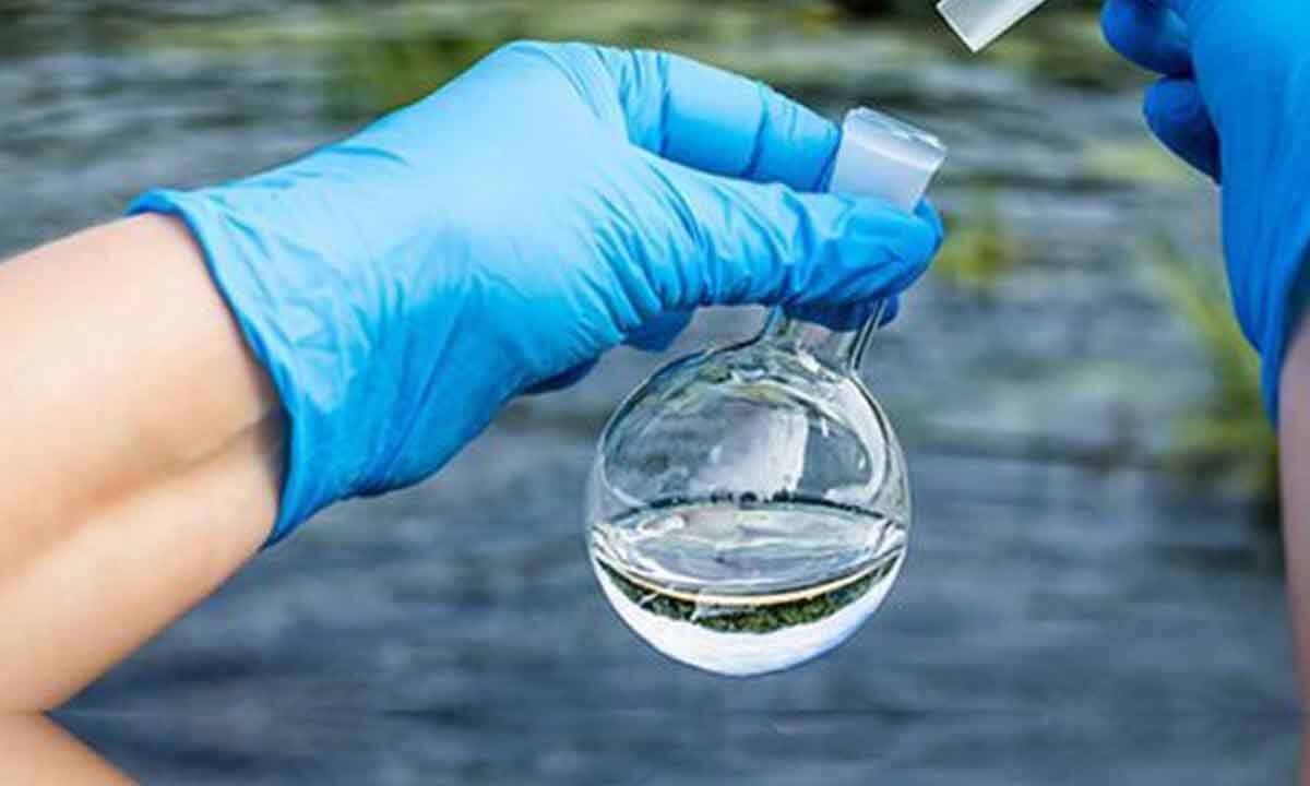 IIT-M to offer 4 month course on water quality