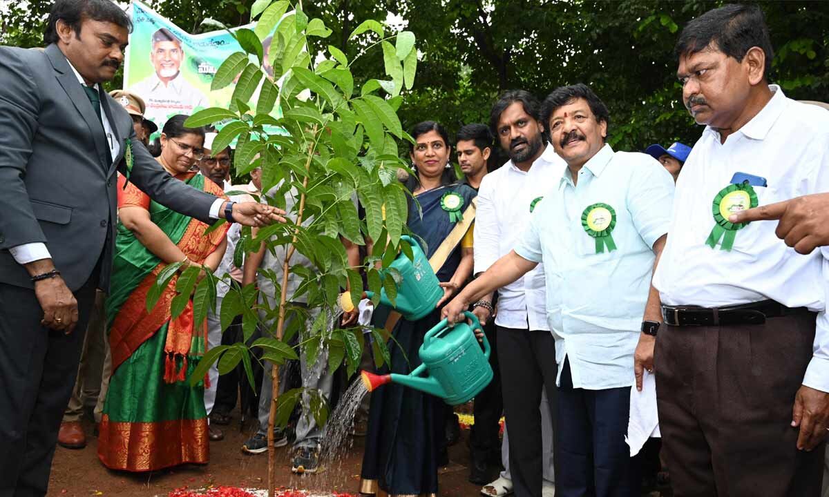 Minister stresses on protection of saplings