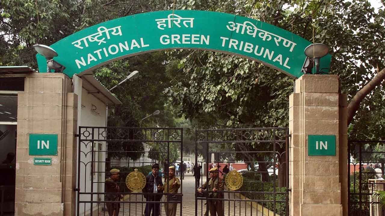 NGT issues notice to DJB over rising pollution in Delhi’s Machli Talab