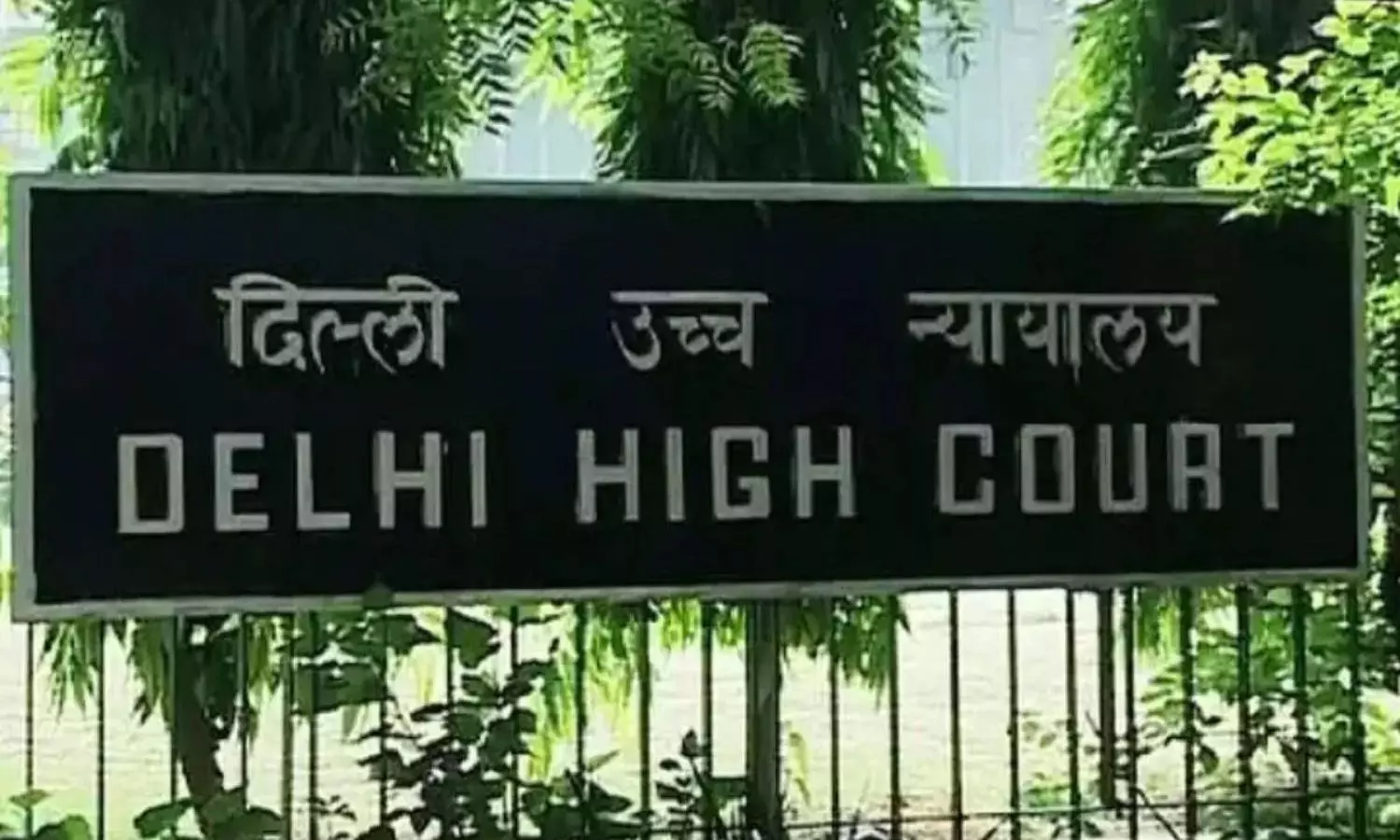 Delhi High Court orders reconstitution of AIFF judicial committees